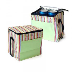 Striped Cooler Bag