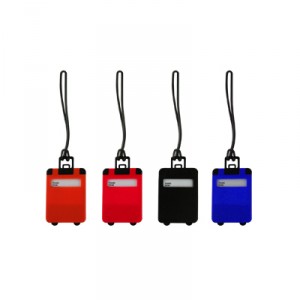 Frosted Luggage Tag
