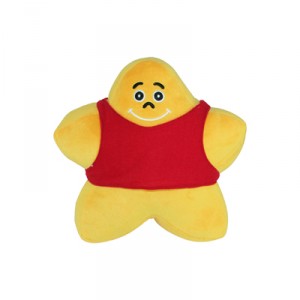 Star Cushion