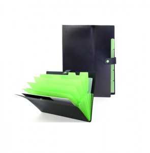 FFL1002 Cordelia 5 Pocket Document File